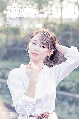 黄雀电视剧全集免费观看高清版